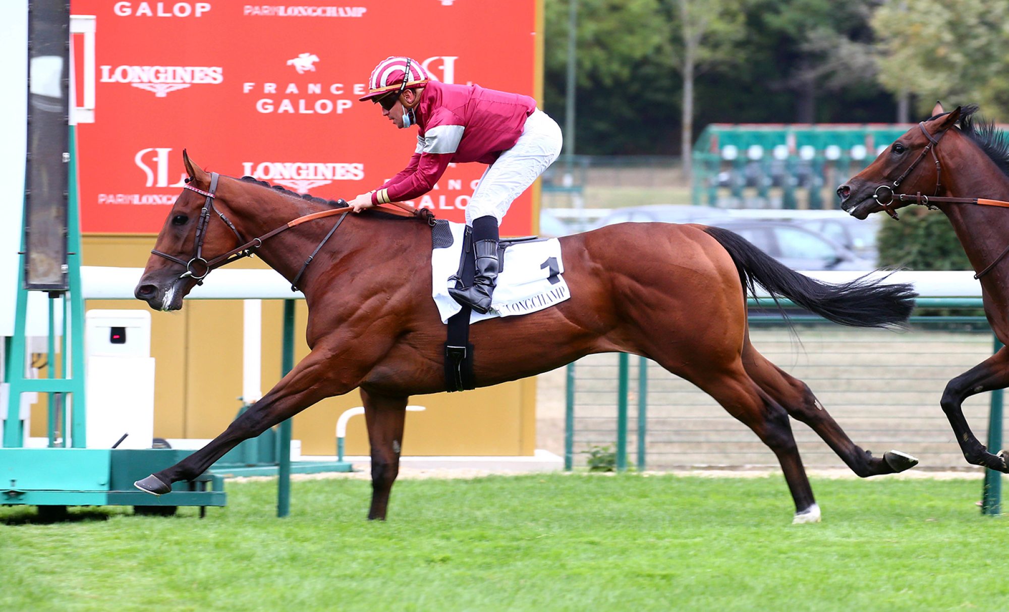 Bouttemont main Dimanche 06 Septembre 2020;Paris Longchamp;PRIX DU VAL VAUVERT;Grégory BENOIST;Philippe ALLAIRE;Yann BARBEROT;SCOOPDYGA - DESBRIEL Valentin